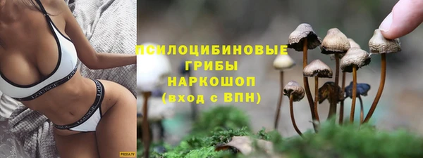 дживик Алексеевка