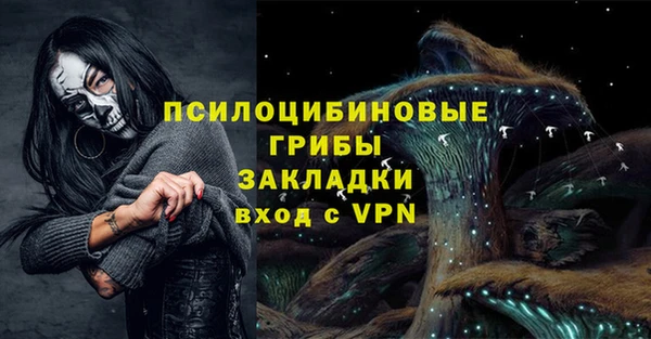 дживик Алексеевка