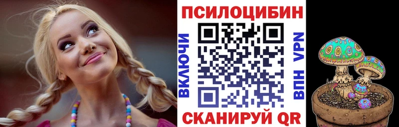 Псилоцибиновые грибы Psilocybe  Чапаевск 