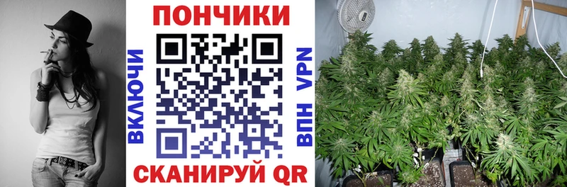 OMG зеркало  Чапаевск  Бошки Шишки гибрид  купить закладку 